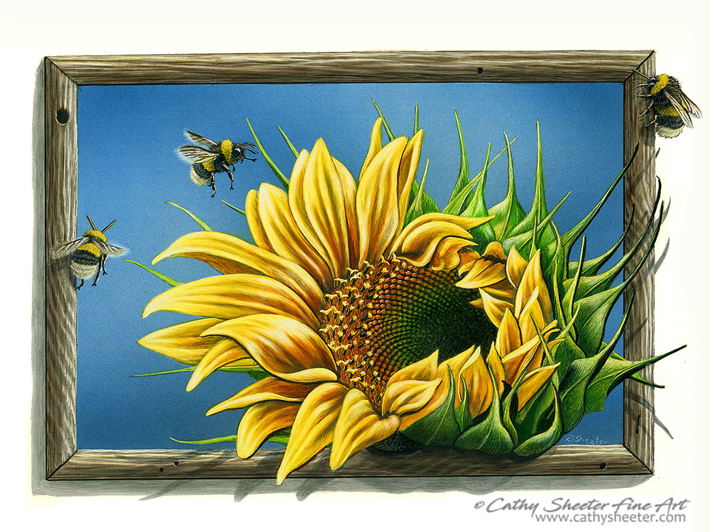 Bee Sunny - Scratchboard