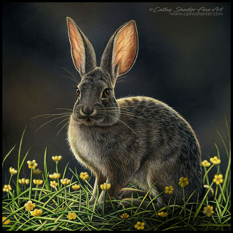 Not a Hare Out of Place - Scratchboard