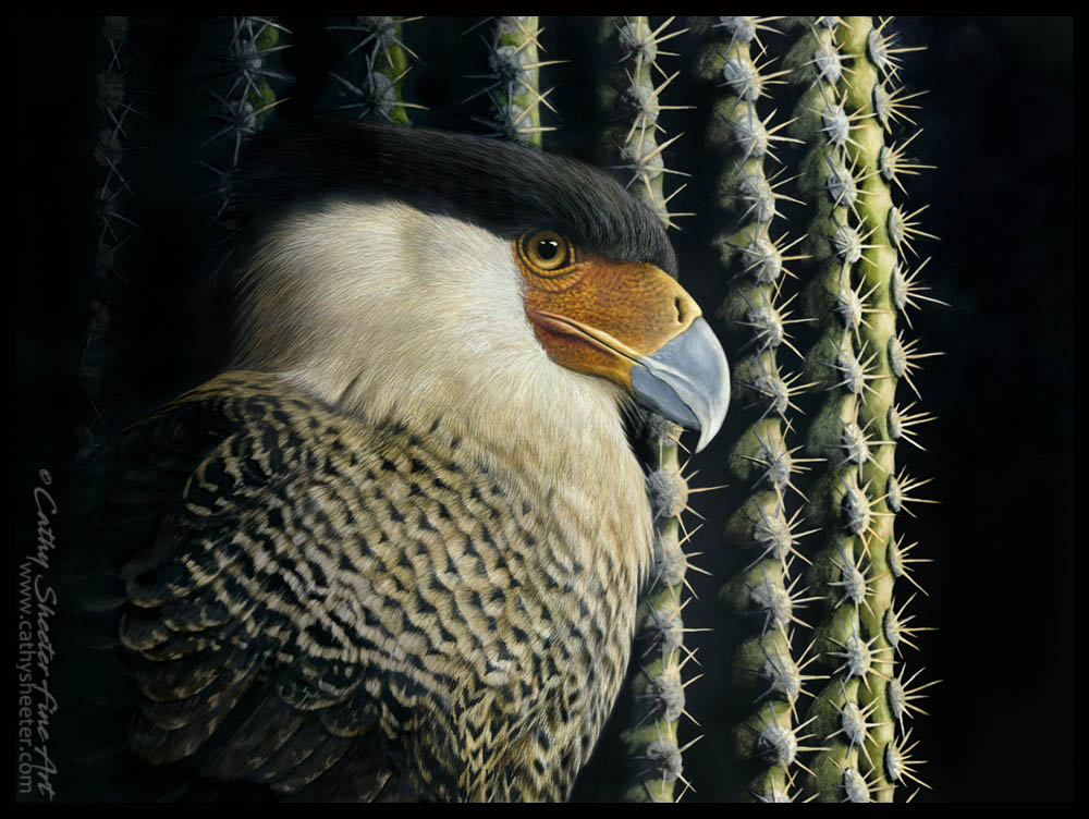 Saguaro Sentinal - Scratchboard CaraCara