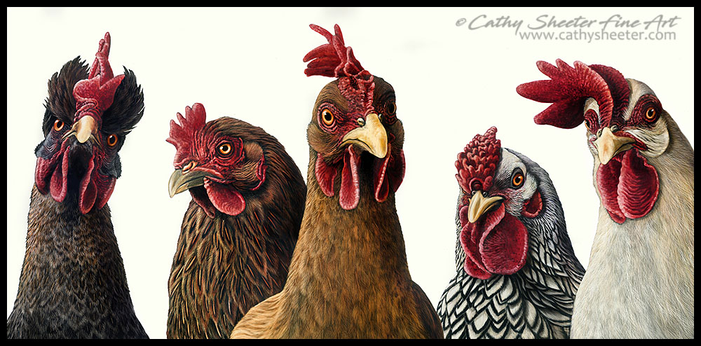 We Don't Give a Cluck - Scratchboard