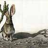 Just a Hare to the Left - Scratchboard and Ink 